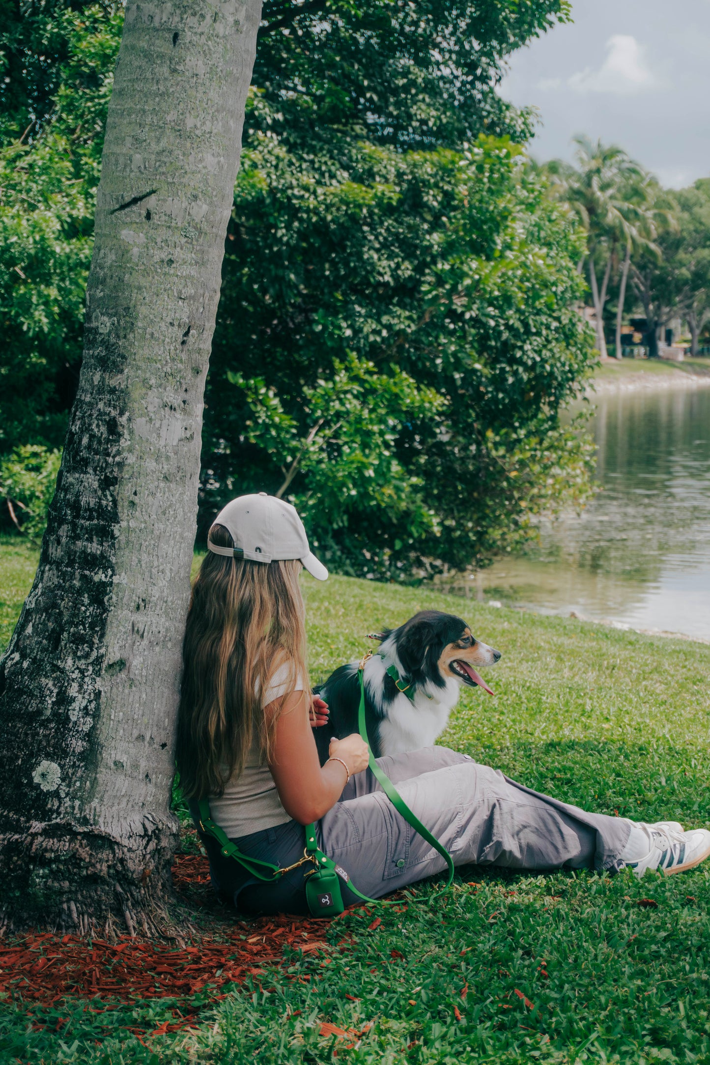 Waterproof Dog Collar