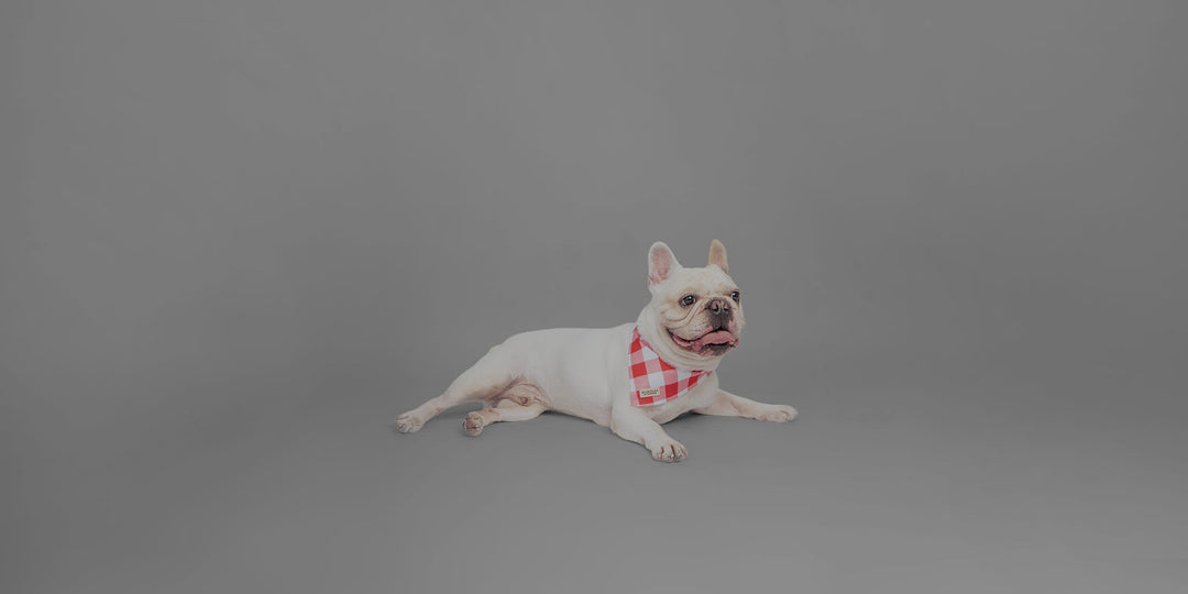 Bandanas