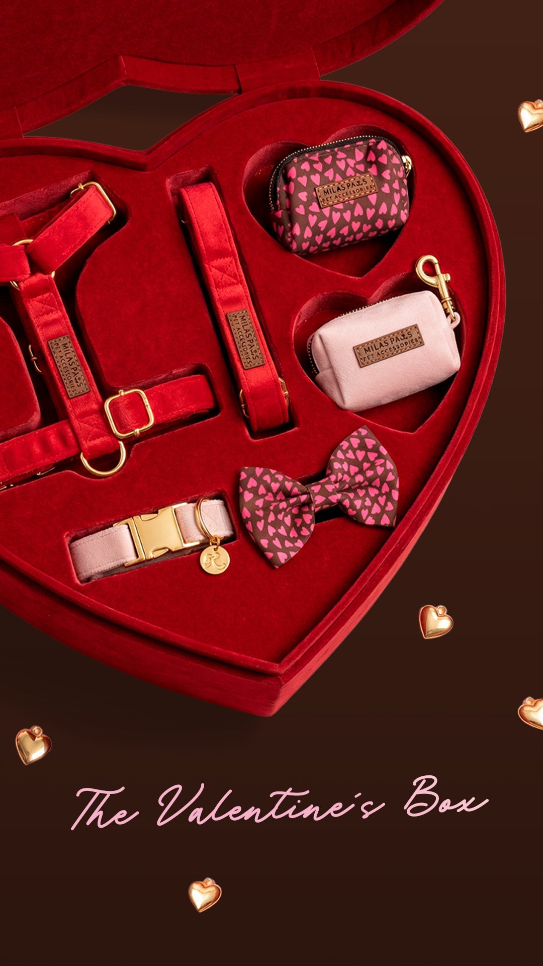 VALENTINE'S BOXES
