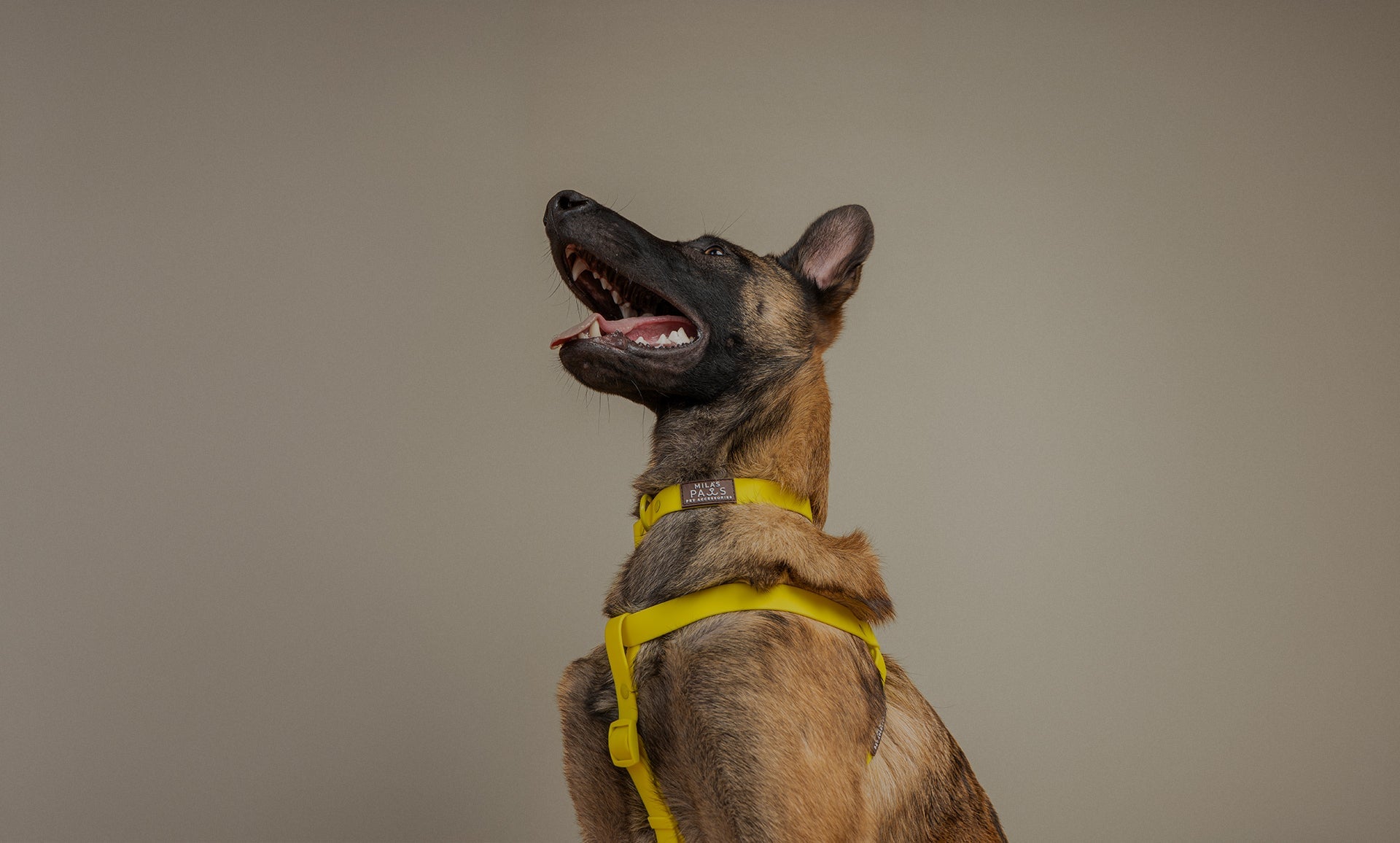 Collars