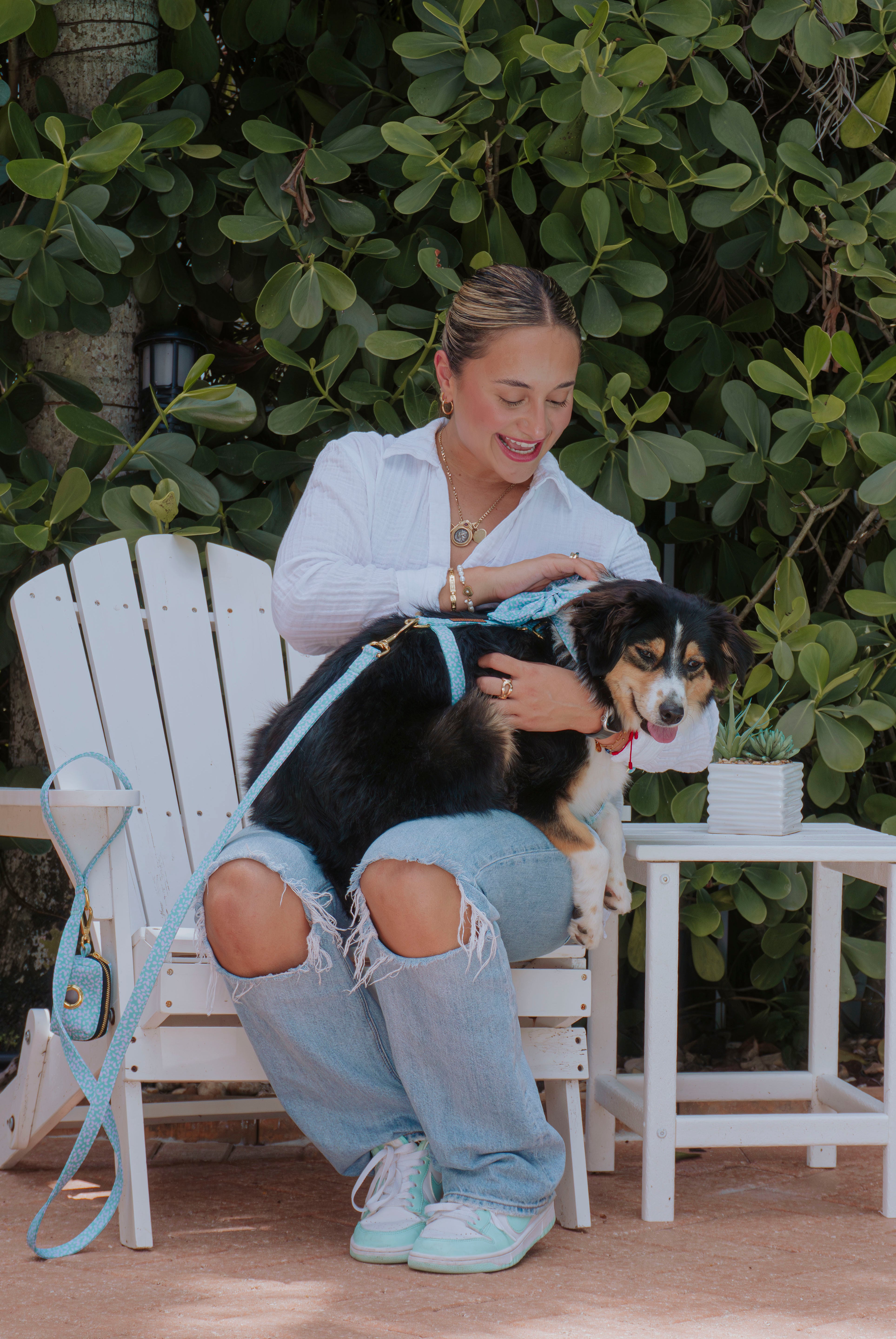 Light Drops Deluxe Bundle