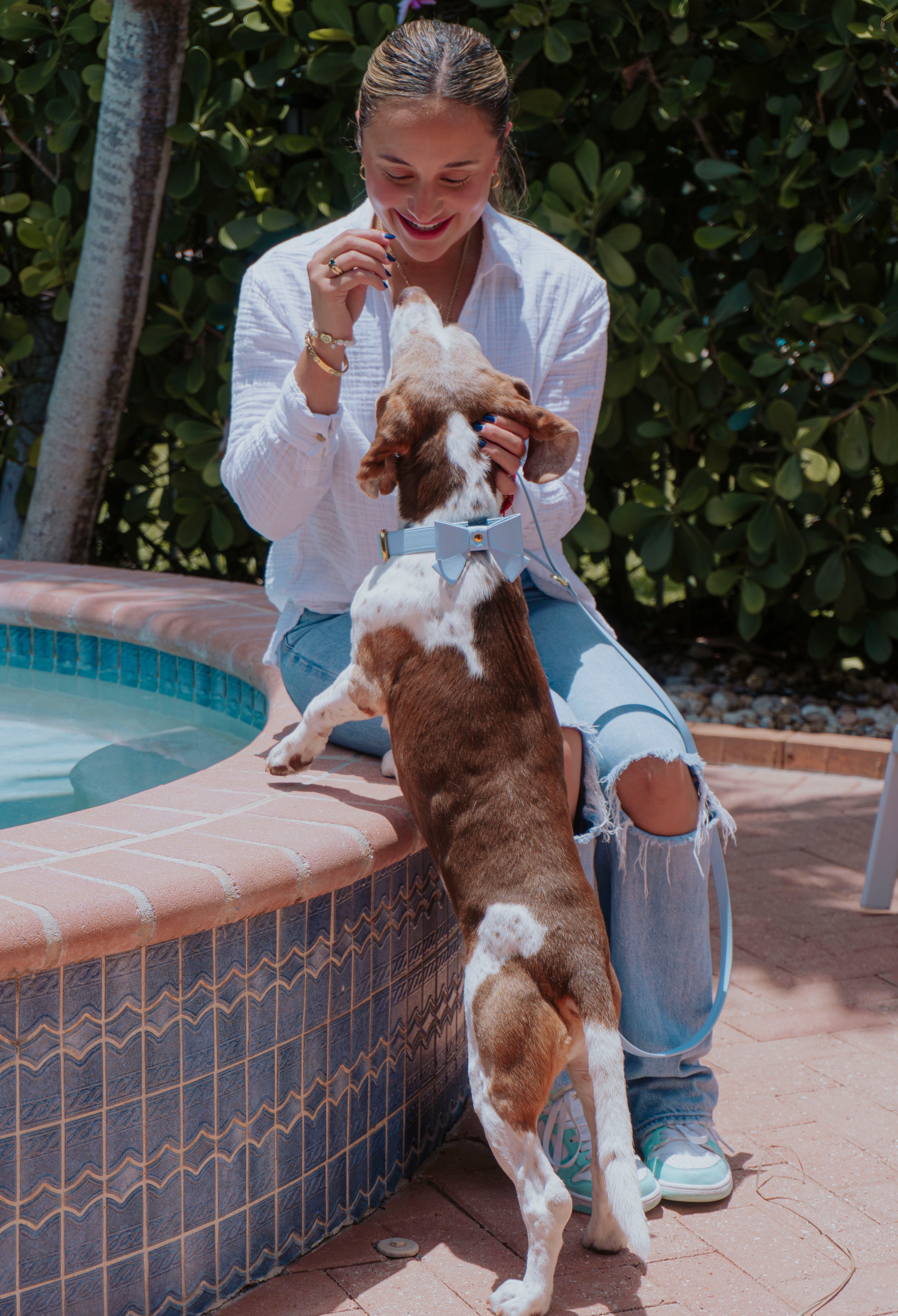 Vegan Leather Dog Collar