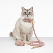 Velvet Rope Walking Bundle