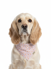 Daisy Paws Bandana