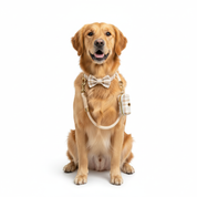 The Check Walking Bundle