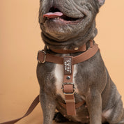 Two-Step Waterproof Harness