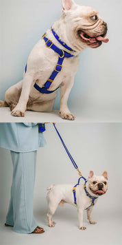 Waterproof Harness