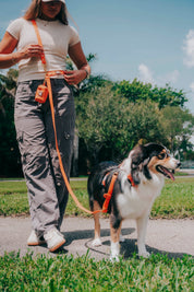 Hands-Free Waterproof Leash