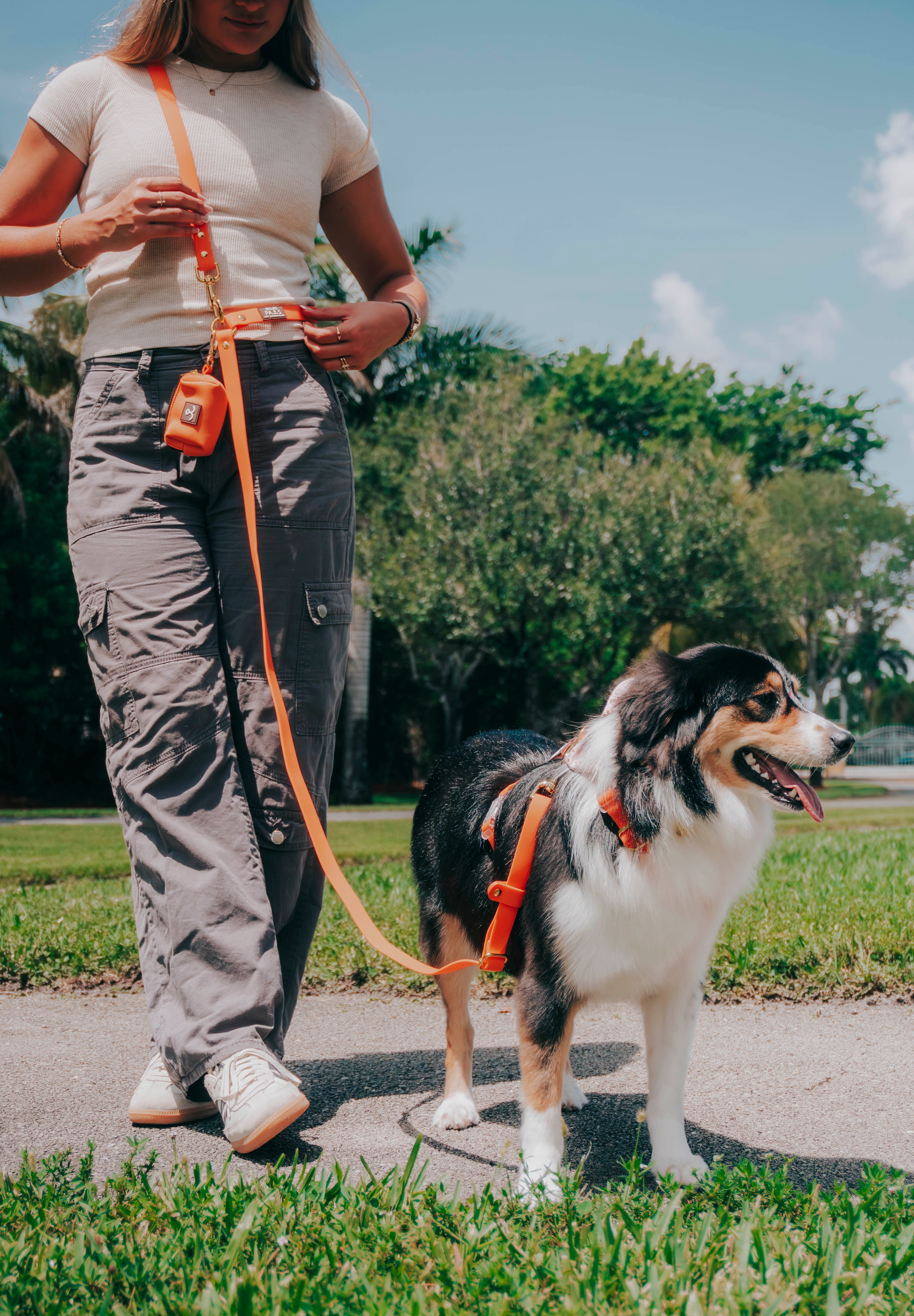 Hands-Free Waterproof Leash