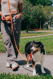 Waterproof Hands-Free Walking Bundle