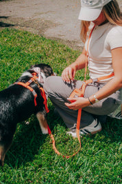Waterproof Hands-Free Deluxe Bundle
