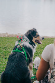 Waterproof Hands-Free Deluxe Bundle