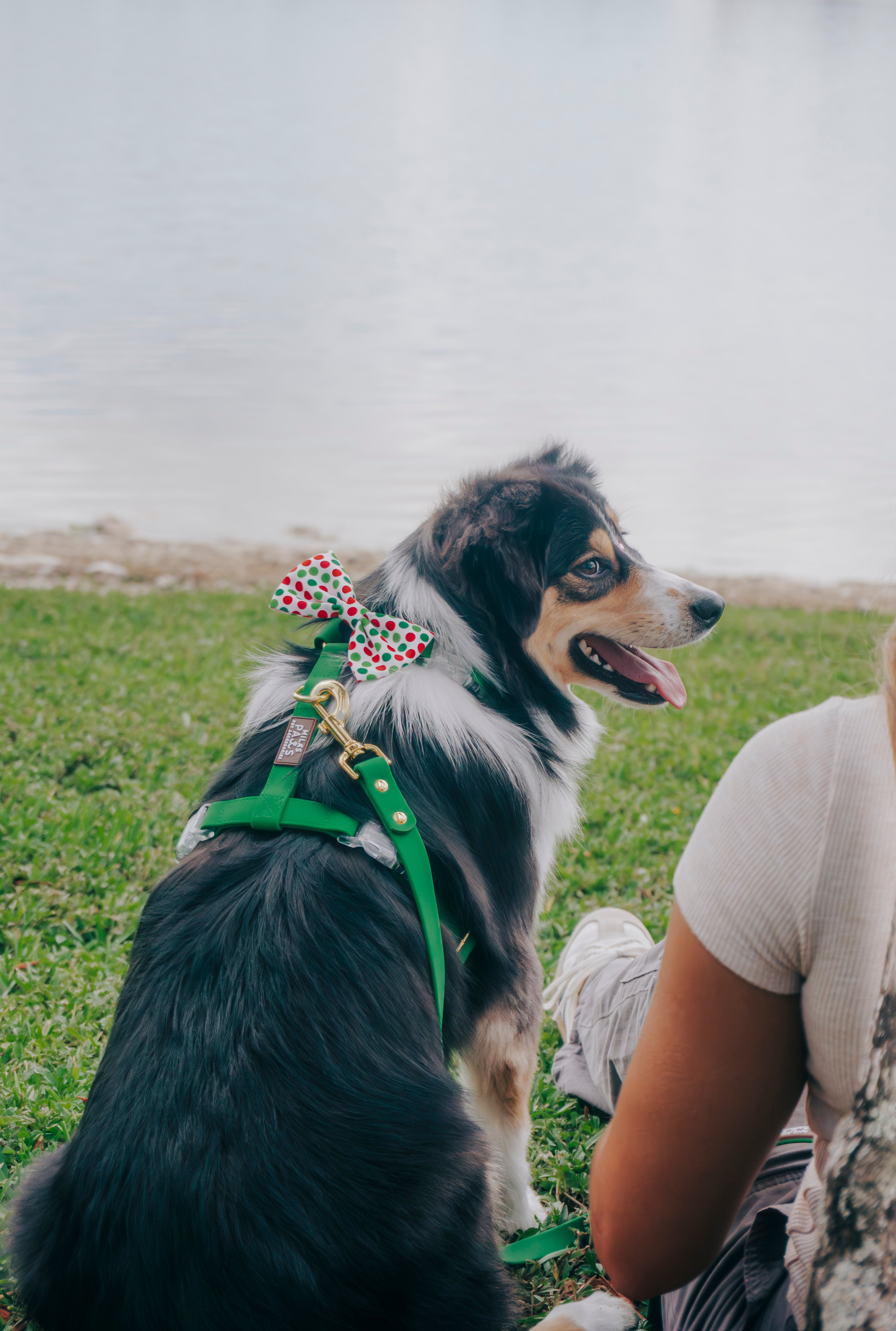 Waterproof Hands-Free Deluxe Bundle