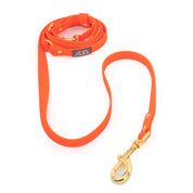 Hands-Free Waterproof Leash