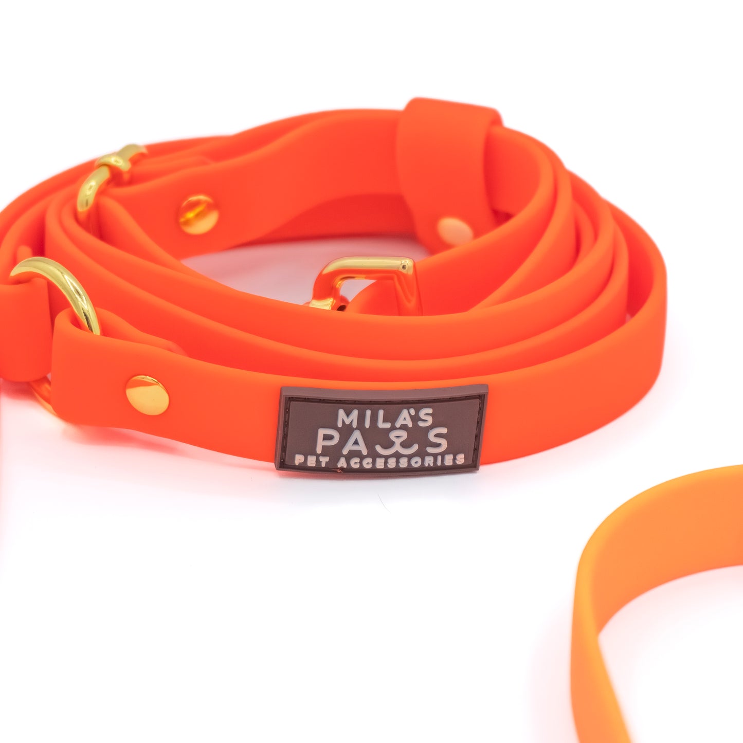 Hands-Free Waterproof Leash