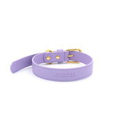 Vegan Leather Dog Collar