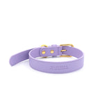 Vegan Leather Collar