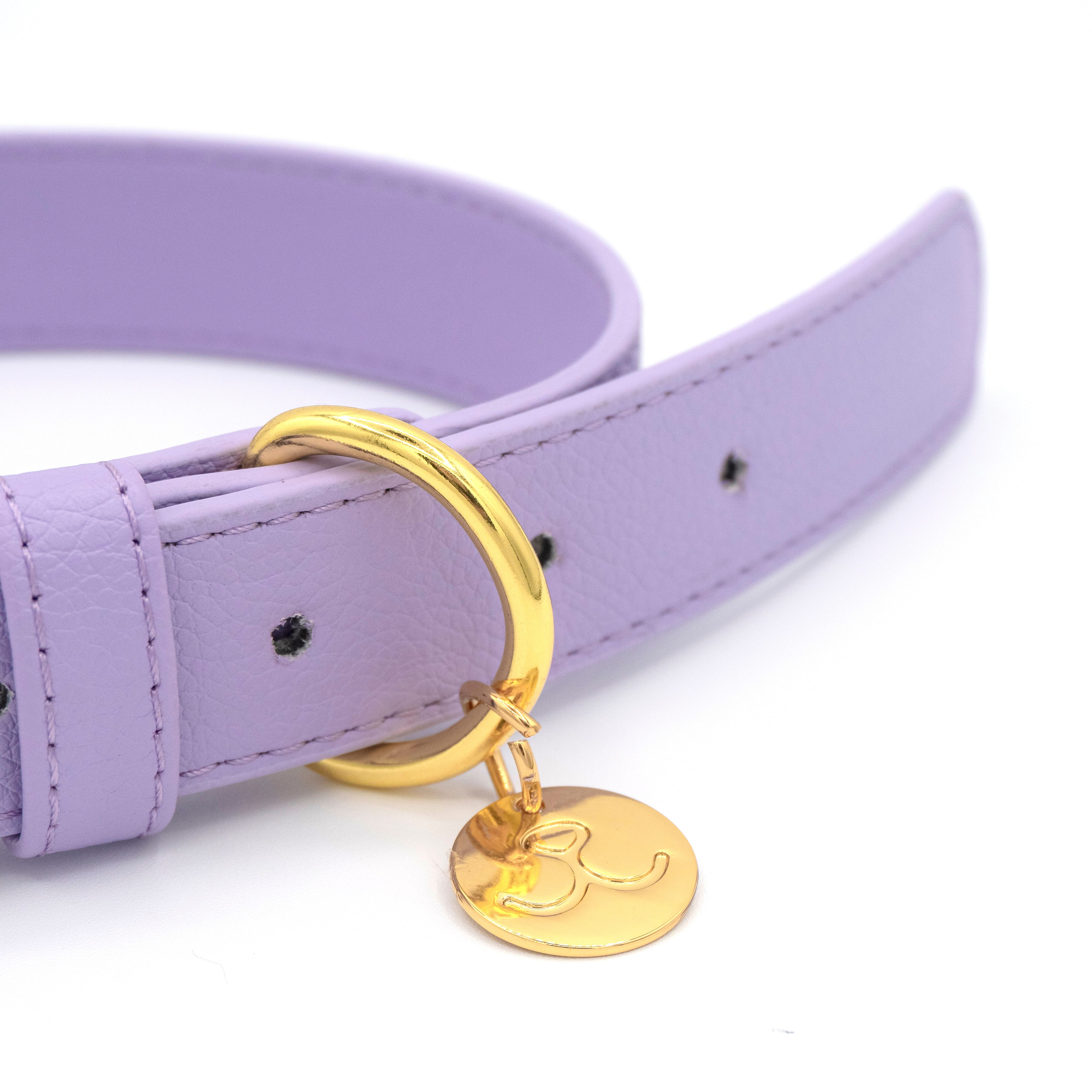 Vegan Leather Dog Collar