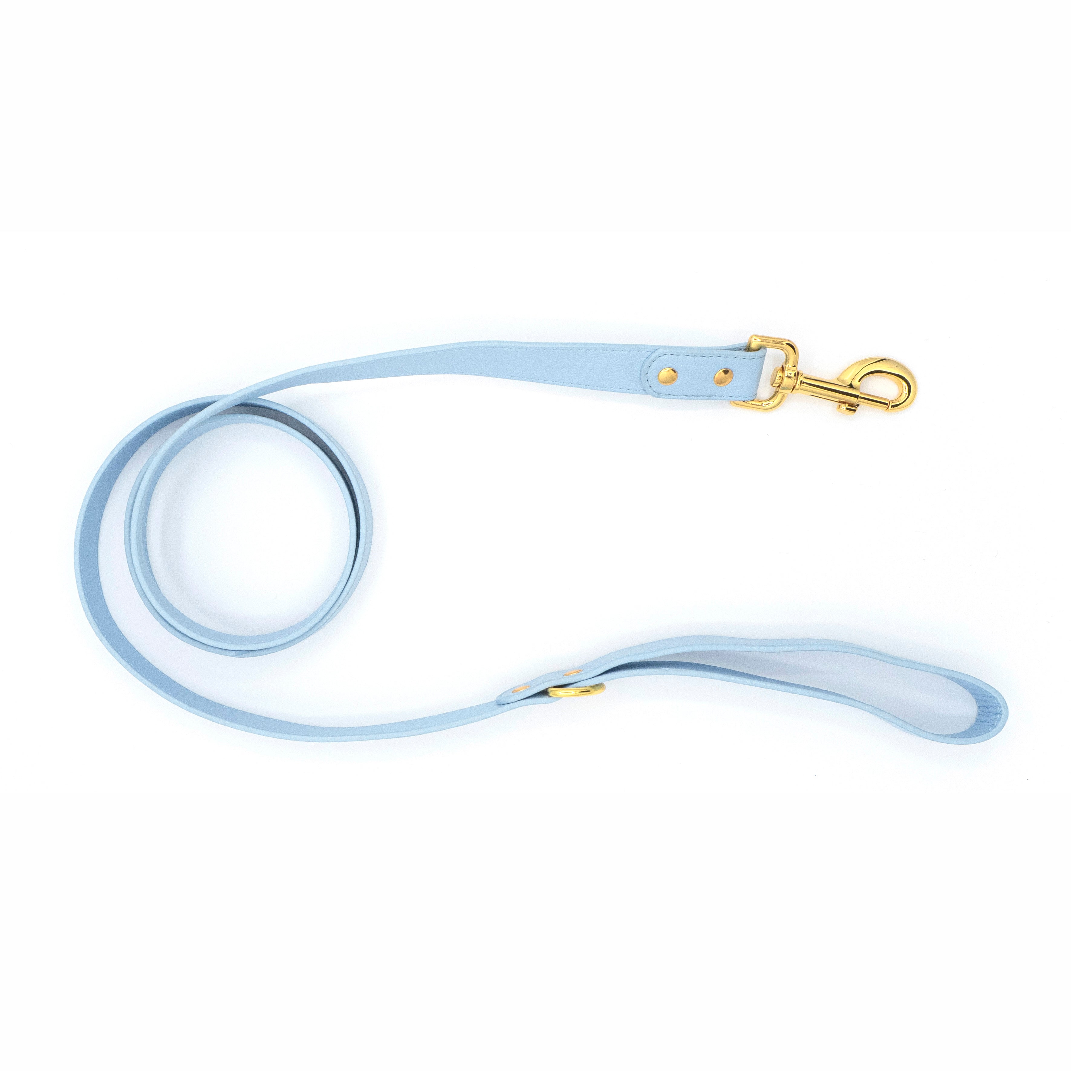 Vegan Leather Dog Leash