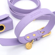 Vegan Leather Walking Bundle