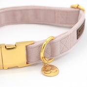 Luxe Velvet Dog Collar