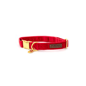 Luxe Velvet Dog Collar