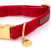 Luxe Velvet Dog Collar