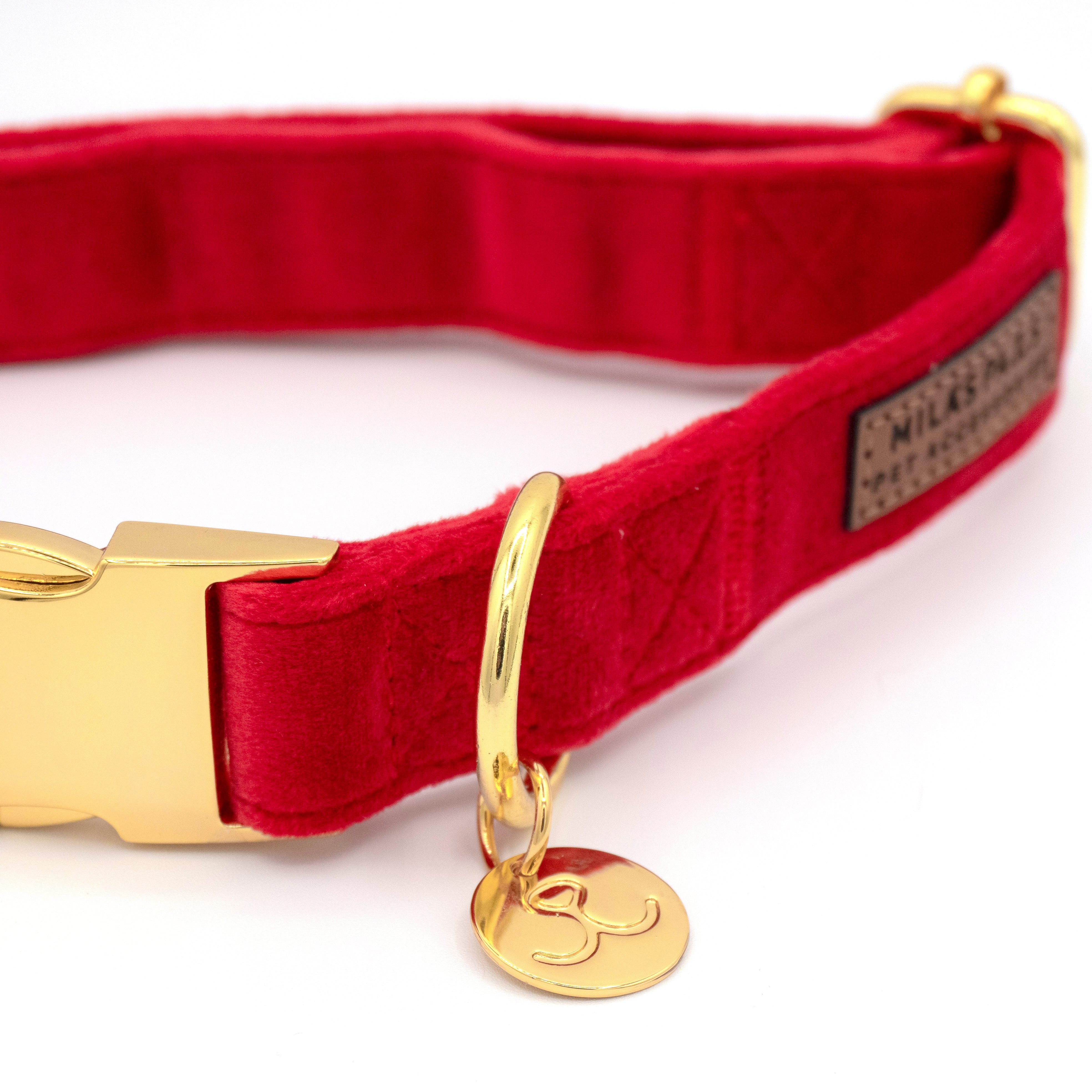 Luxe Velvet Dog Collar