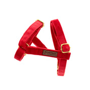 Luxe Velvet Harness
