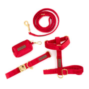 Velvet Deluxe Walking Bundle