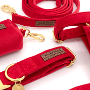 Velvet Deluxe Walking Bundle