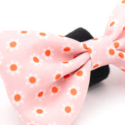 Daisy Paws Bowtie