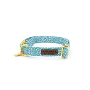 Light Drops Dog Collar