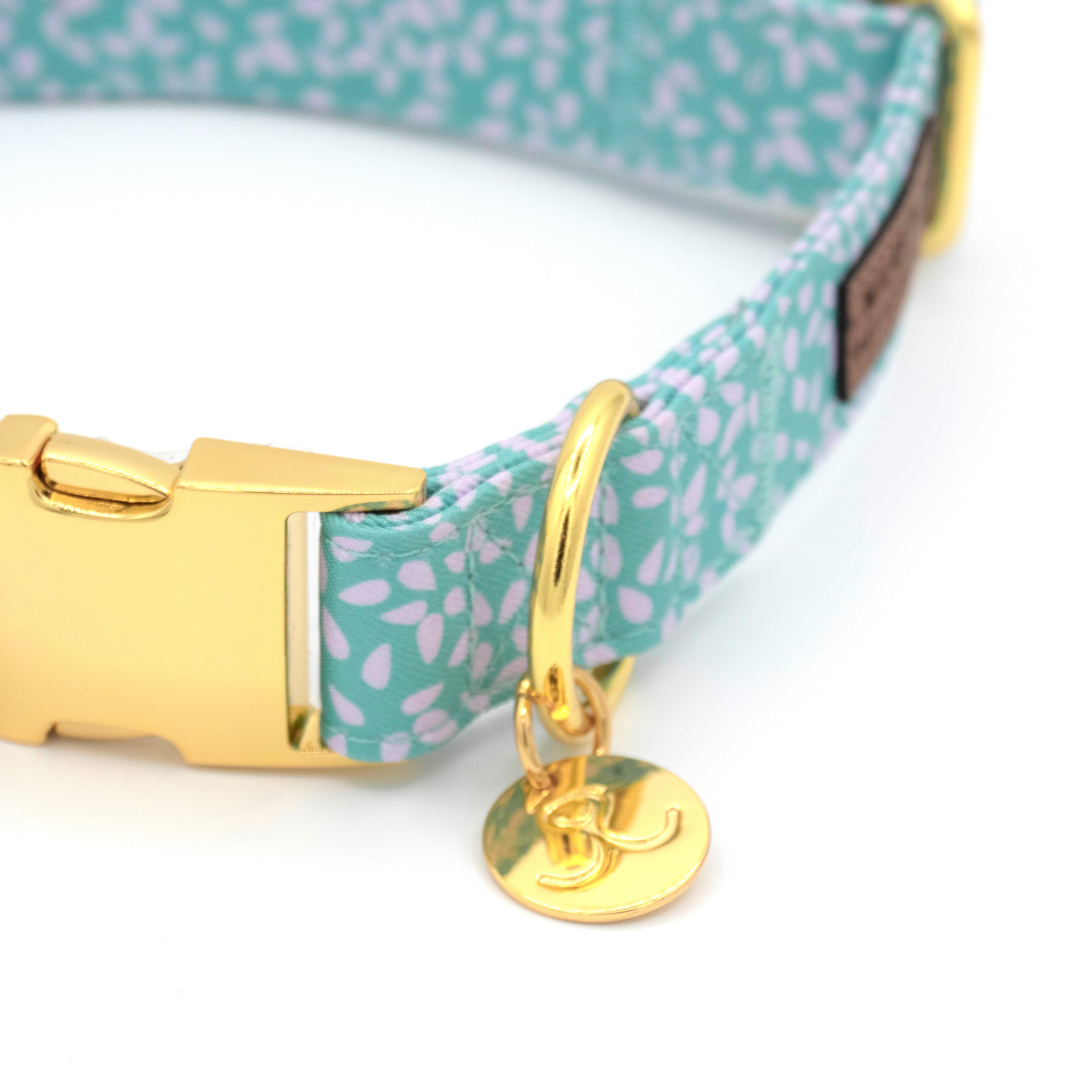 Light Drops Dog Collar