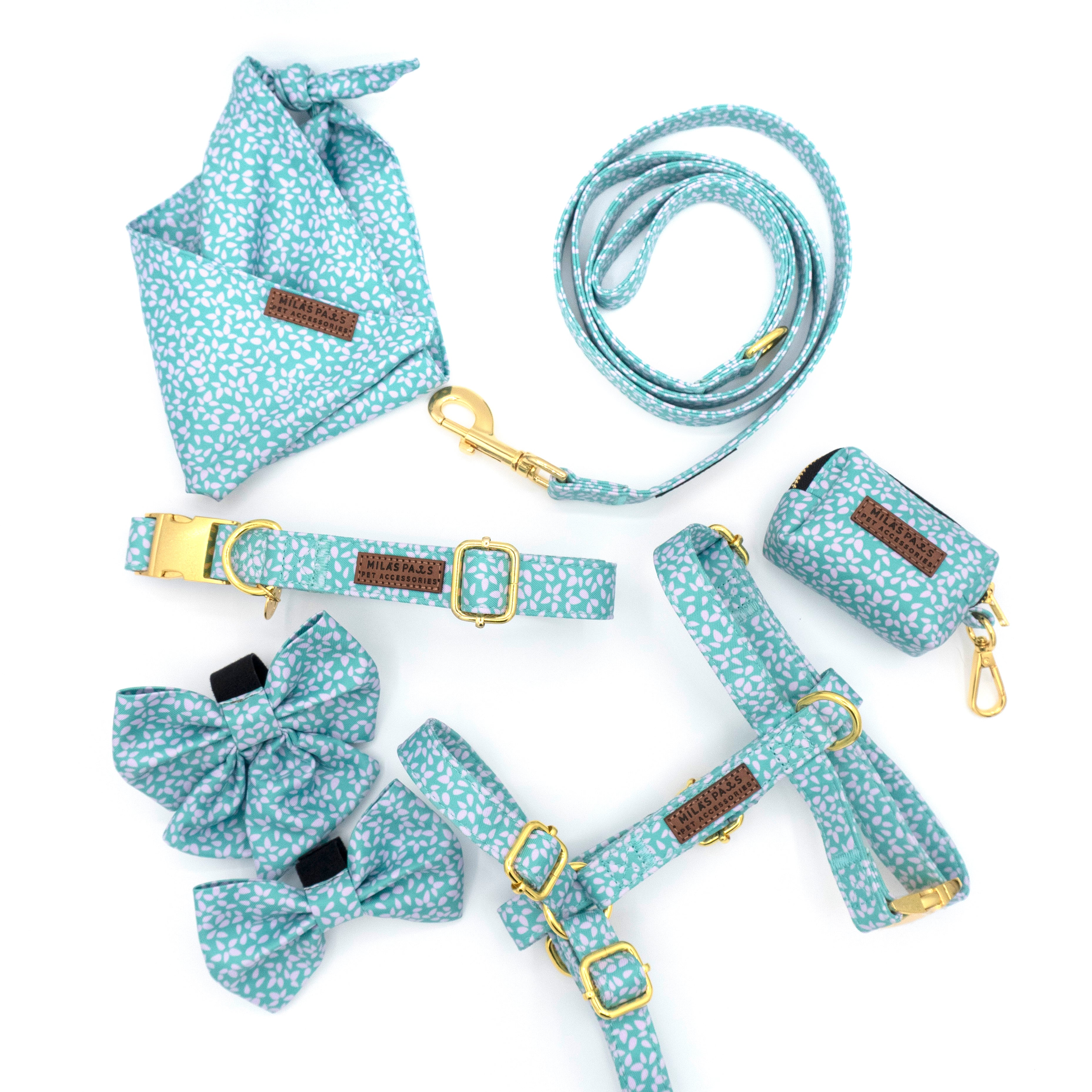 Light Drops Essentials Bundle