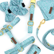 Light Drops Essentials Bundle