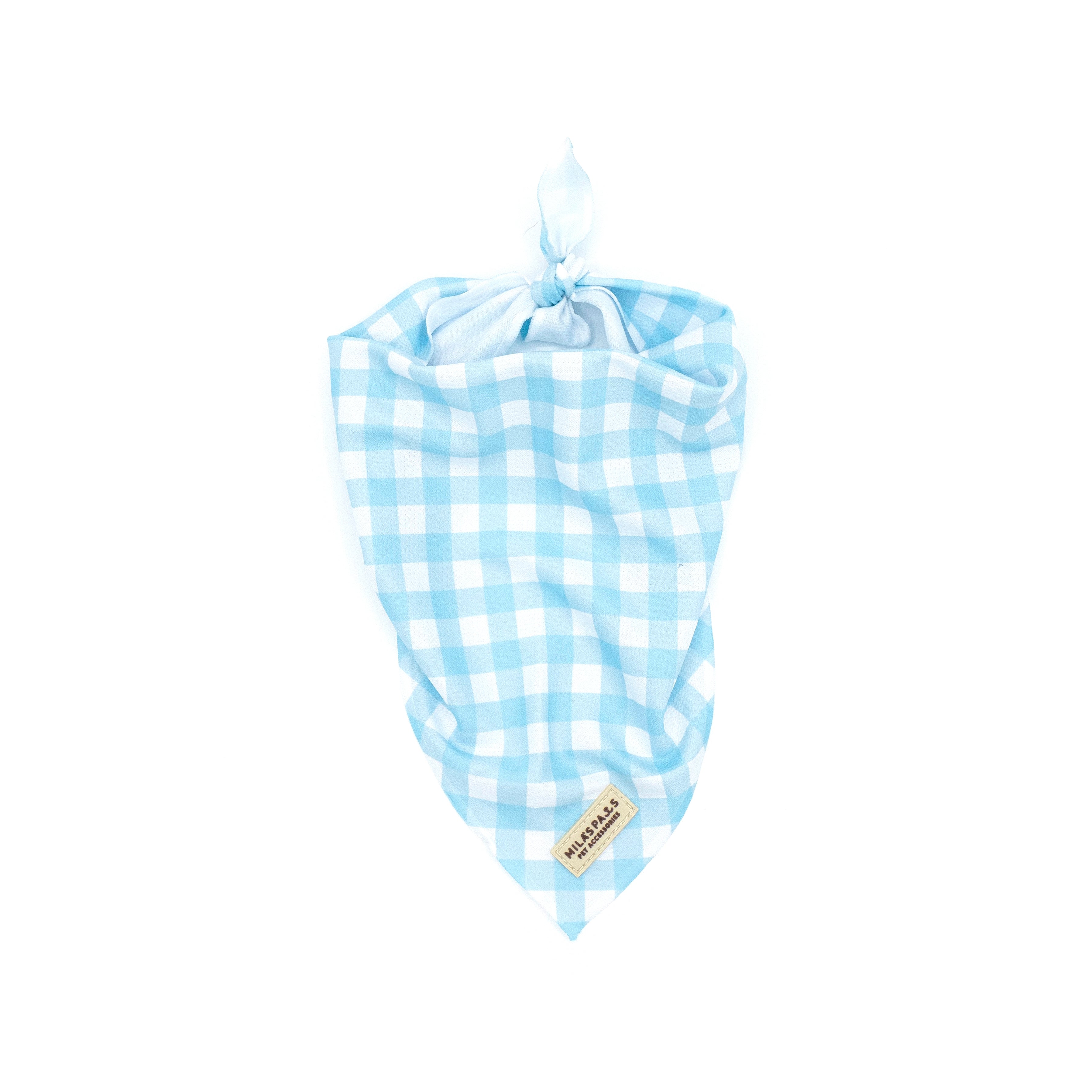 Sky Blue Gingham Bandana