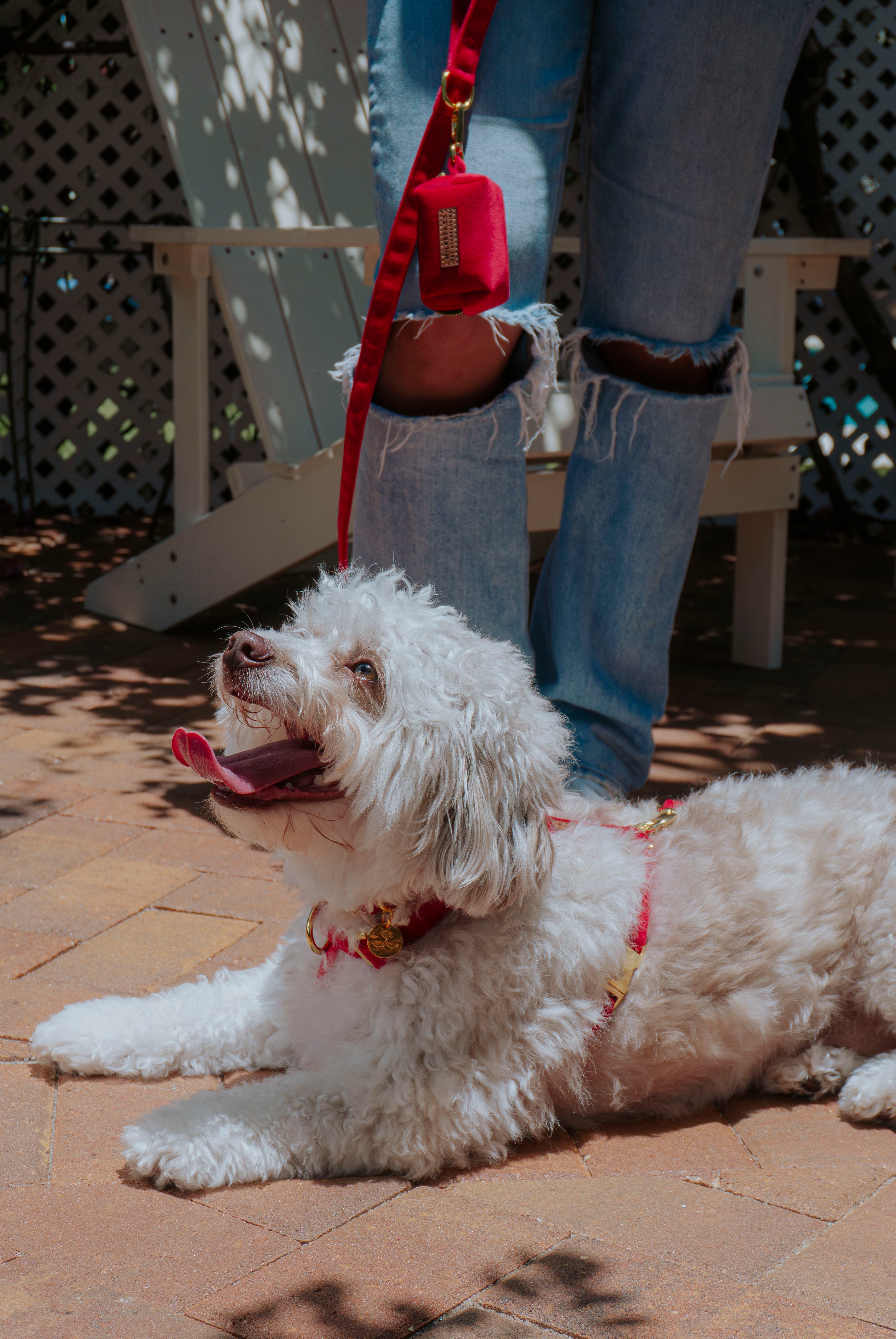 Velvet Deluxe Walking Bundle