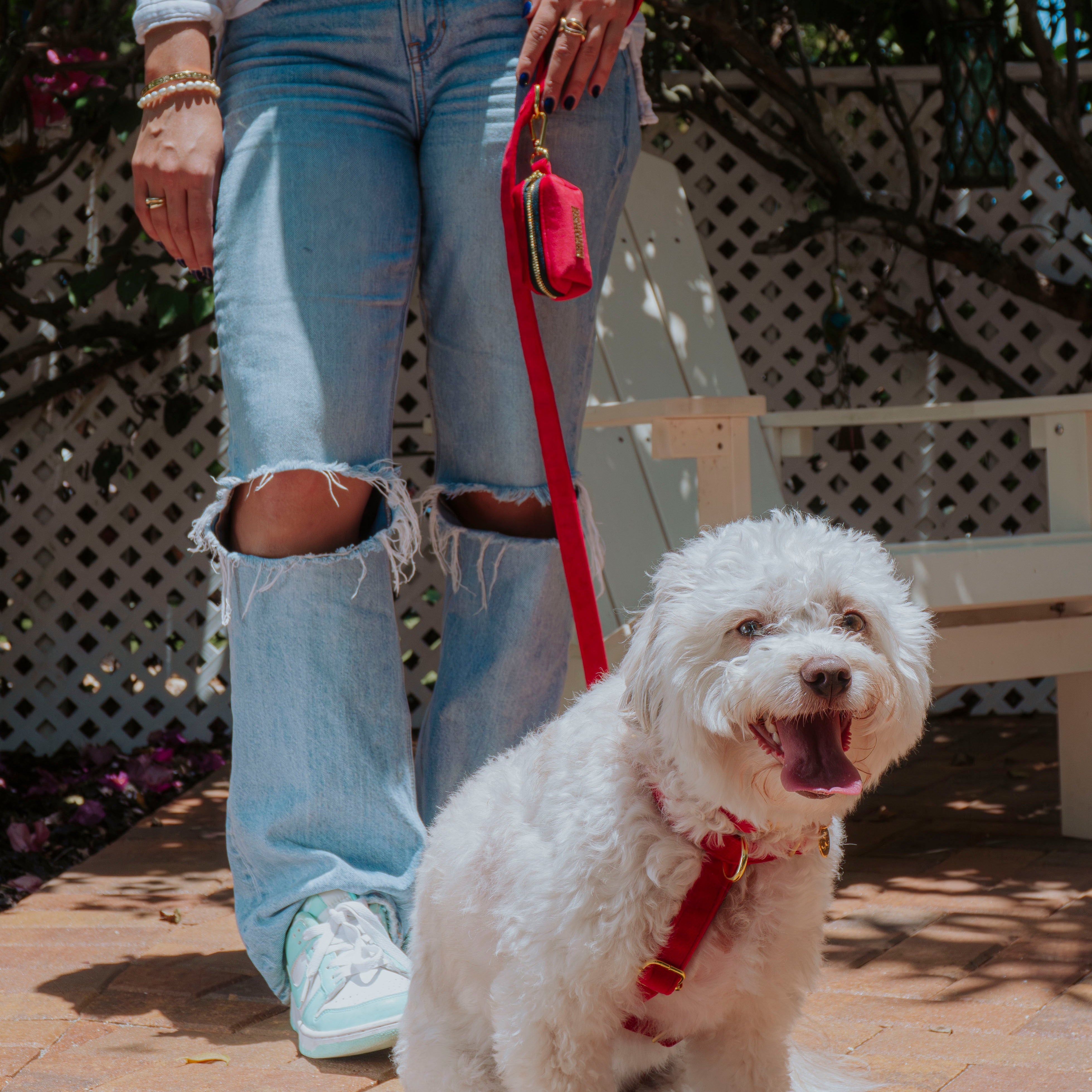 Velvet Leash