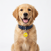 Tennis Ball Charm