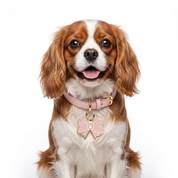Pink Bow Paw Charm