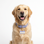Good Boy Charm