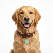 That is So Fetch Charm