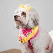 Happy Hearts Bandana