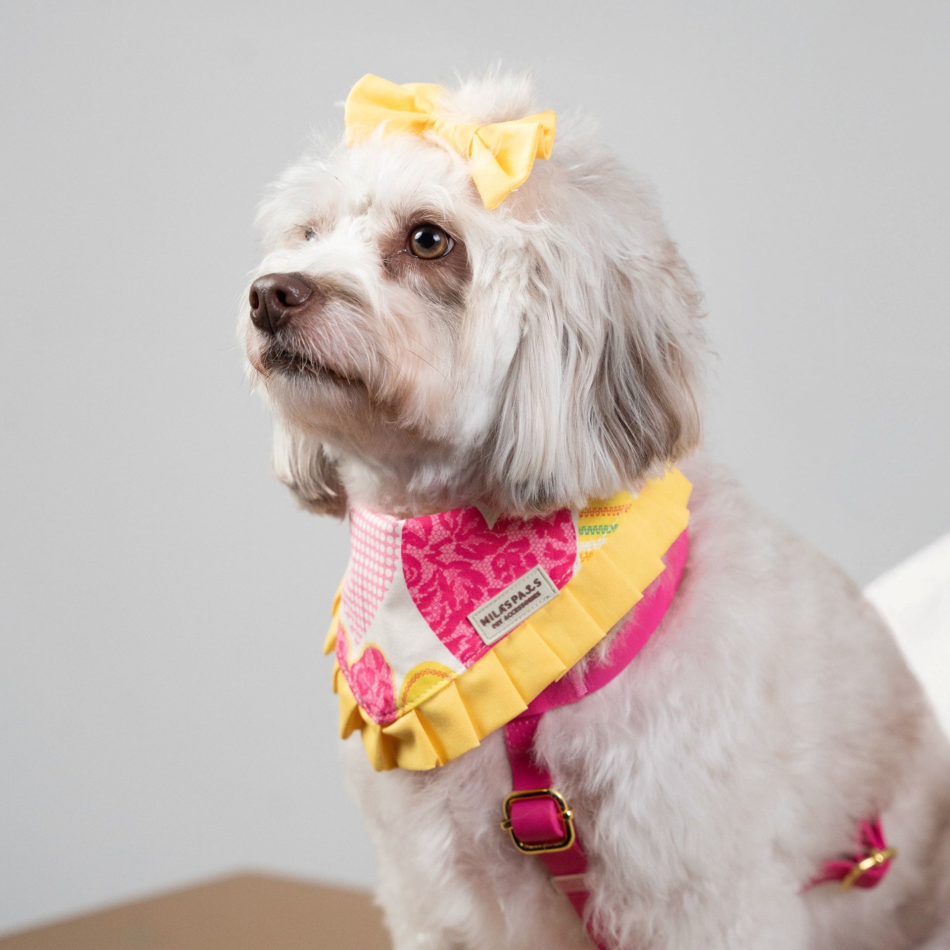 Happy Hearts Bandana