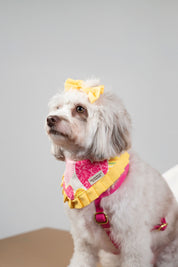 Happy Hearts Bandana