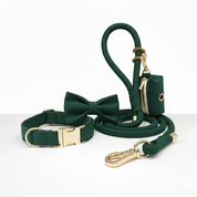 Green dog collar, bow tie, and leash set with gold hardware on a white background
