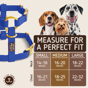 Waterproof Hands-Free Deluxe Bundle