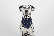 The Nautical Mariner Bandana