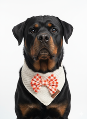Fireside Picnic Bandana